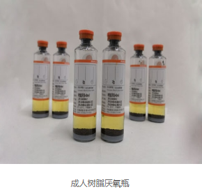 哪个买球app
