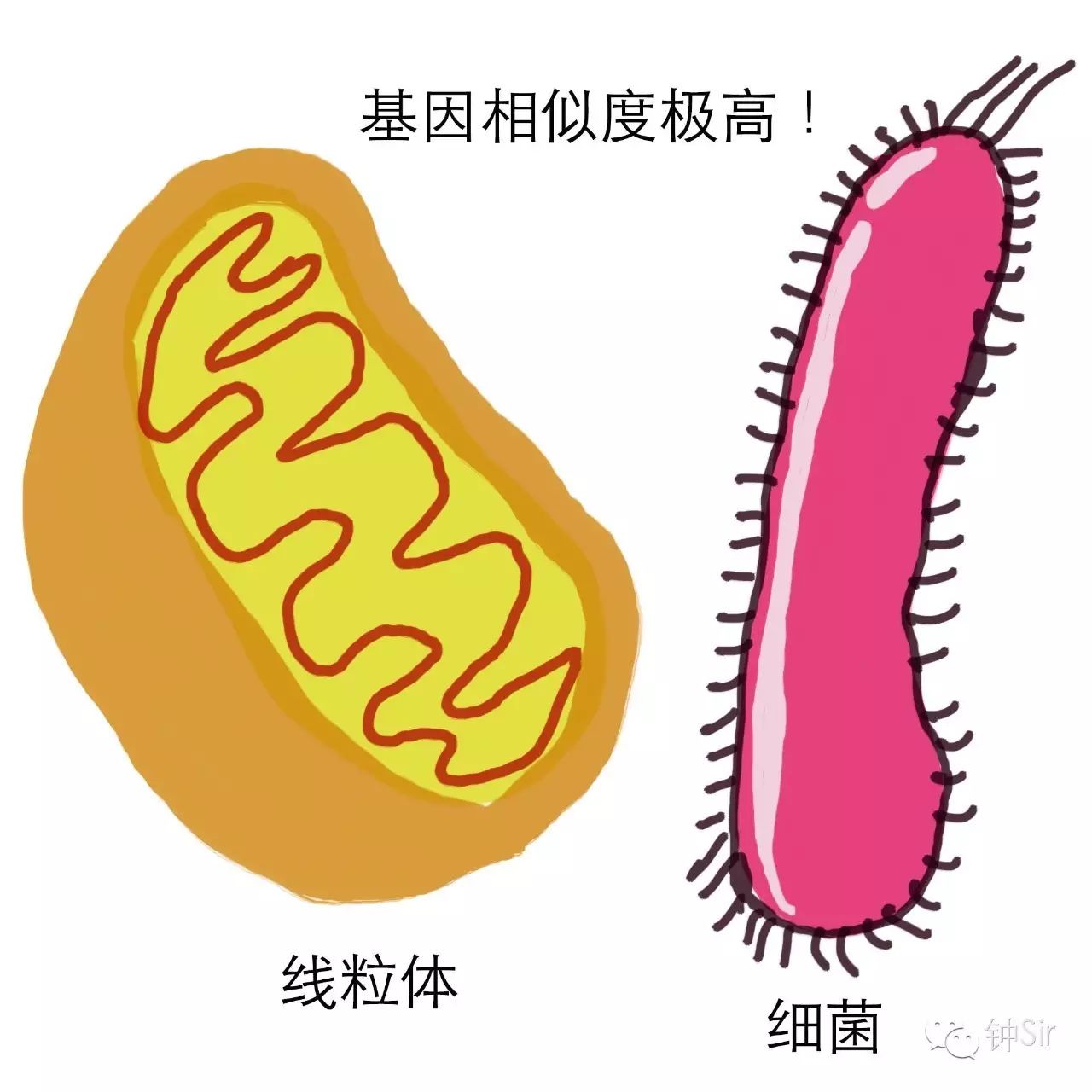 b33ab48d4b1729fecce47746dc7867e2.jpg