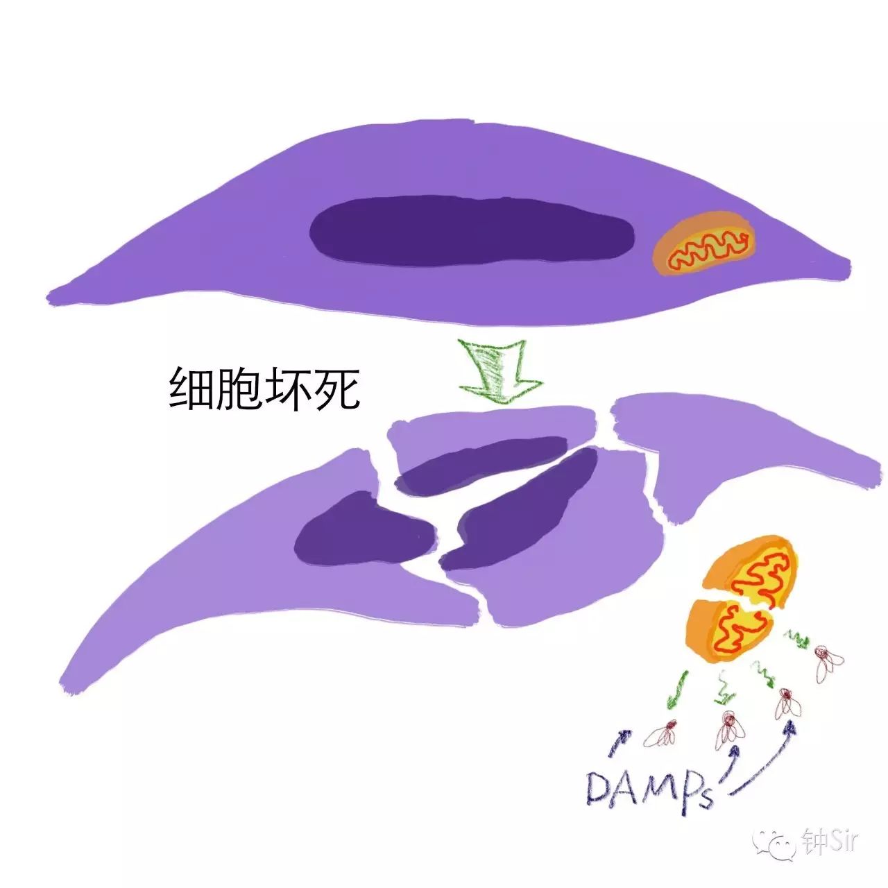 024afab6242061df8ac630a6d05fdac1.jpg